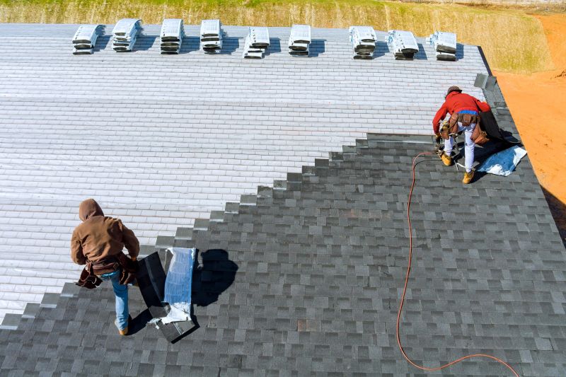 Professional Asphalt Shingle Repair - Inspection