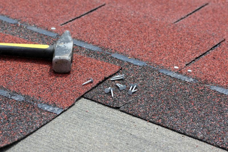 Professional Asphalt Shingle Repair - Sealing