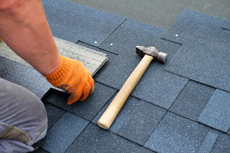 Professional Asphalt Shingle Repair - Inspection Process